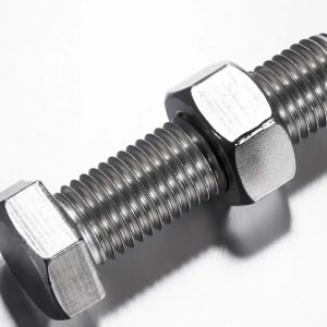 Stainless Steel Hex Bolt with matching hex nut assembly